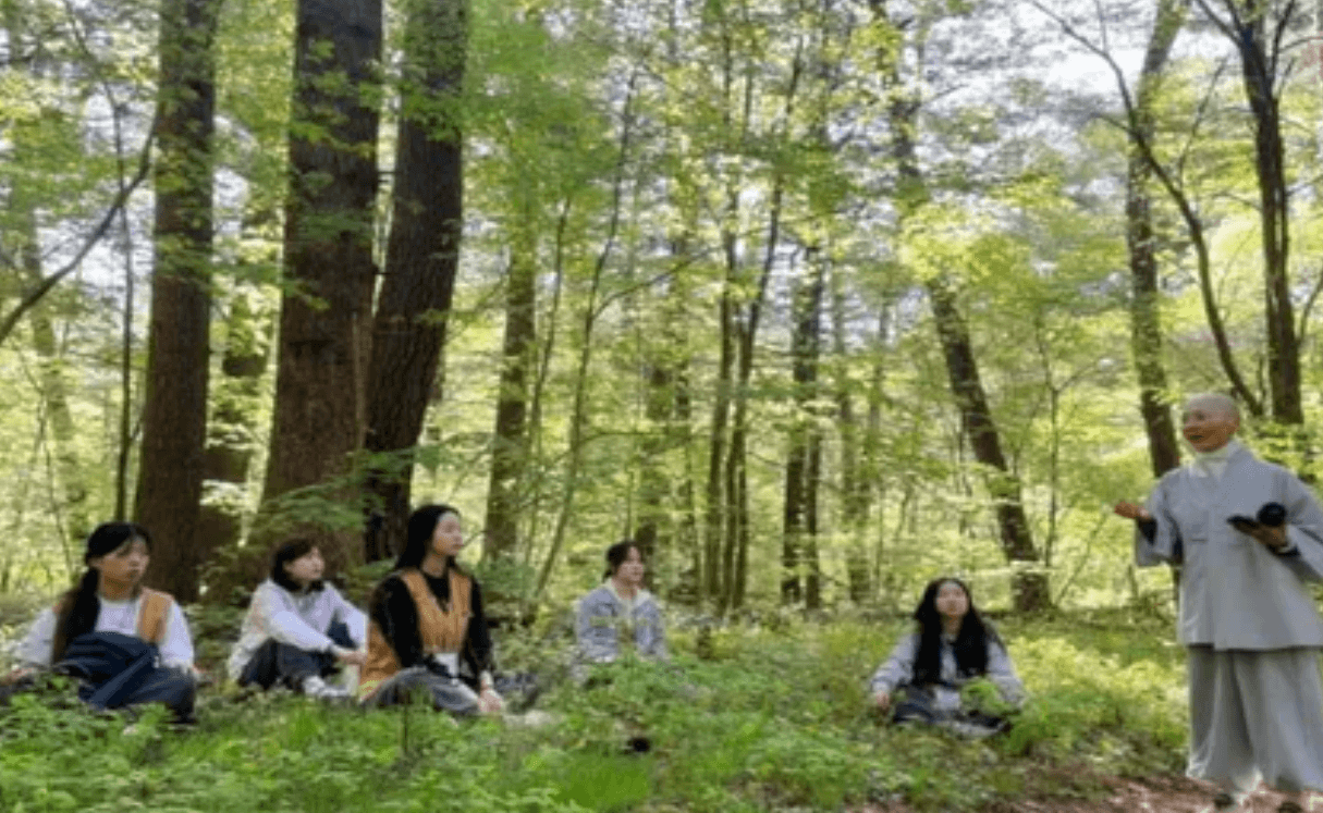 월정사 템플스테이 가이드: 전나무 숲길