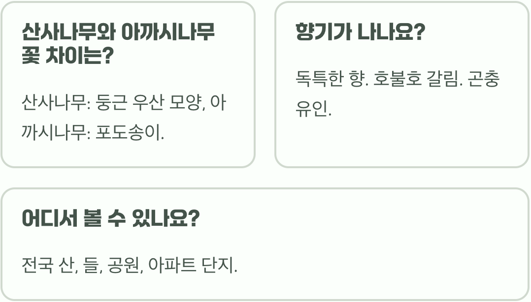 산사나무 꽃, 언제 피고 어떻게 생겼을까? (개화 시기, 꽃말)