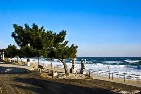 강릉시티투어버스