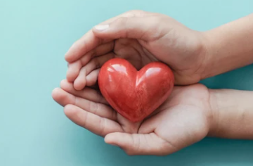 장기기증 신청방법