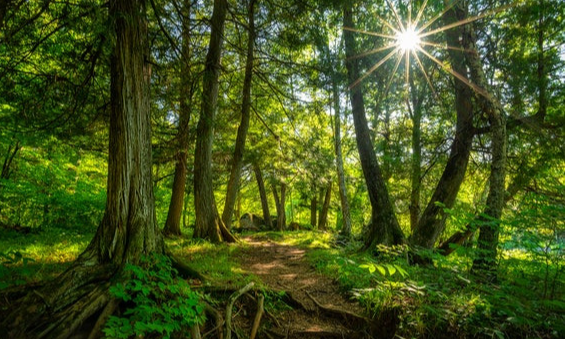 &ldquo;혼자는 나를 회복시키는 시간.&rdquo;