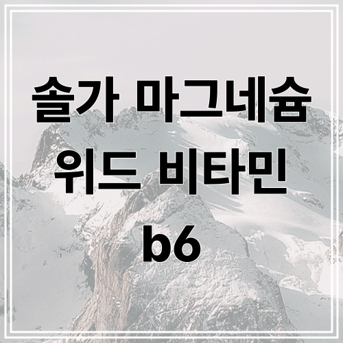 솔가 마그네슘 위드 비타민 b6