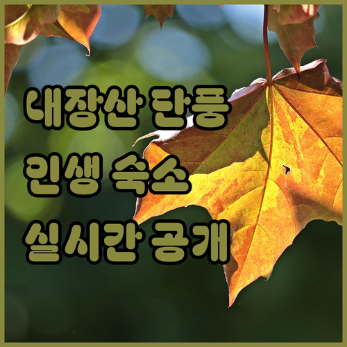 내장산 단풍 여행 숙박 가이드 위치별..