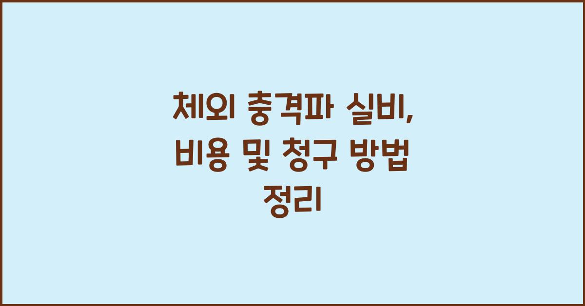 체외 충격파 실비
