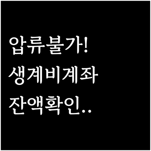 압류 걱정 없는 생계비계좌 잔액 조회..