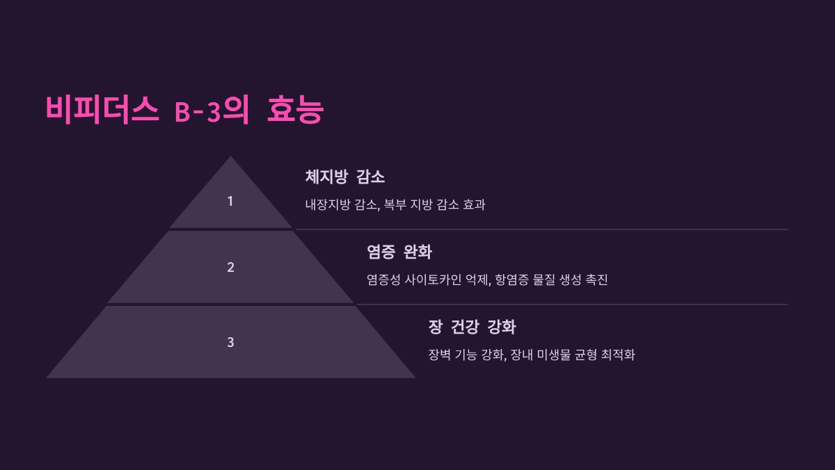 비피더스 B-3