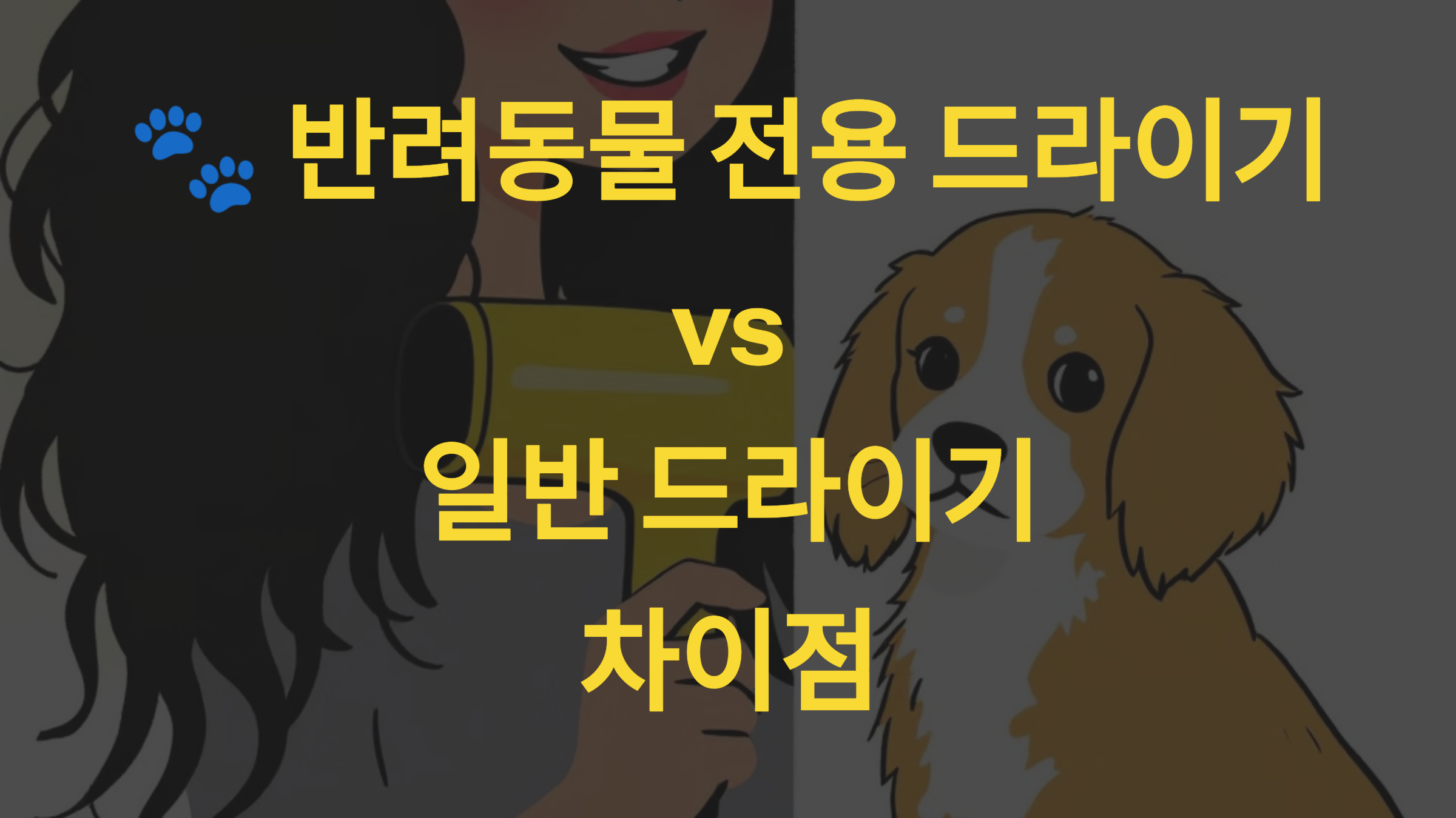 🐾 반려동물 전용 드라이기 vs 일반 드라이기 차이점