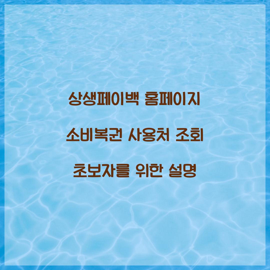 상생페이백 홈페이지 소비복권 사용처 조회 초보자를 위한 설명