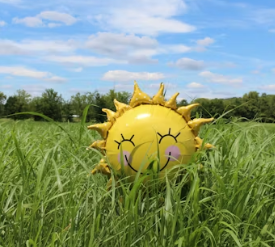 비타민d 하루 권장량 먹는법