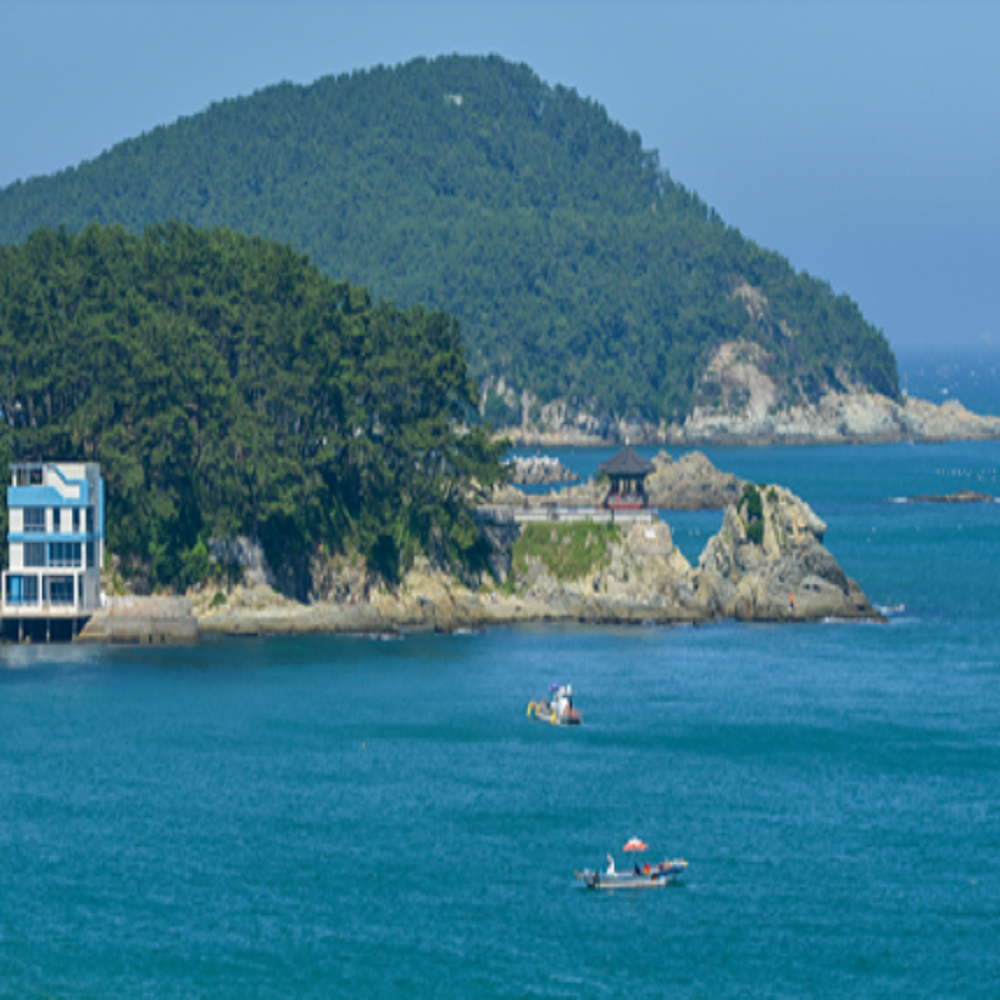 송정 해수욕장 바로가기