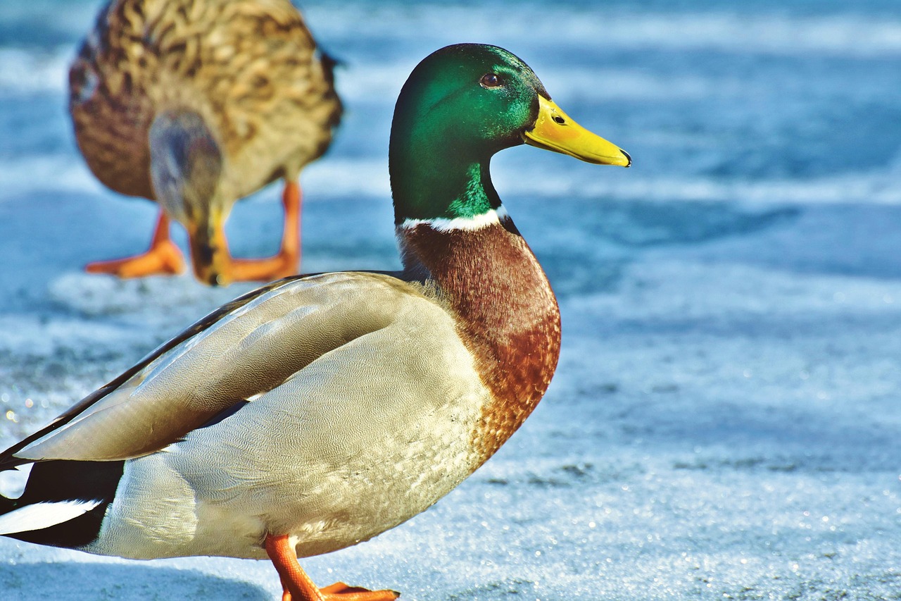 2025 실수령액 계산기