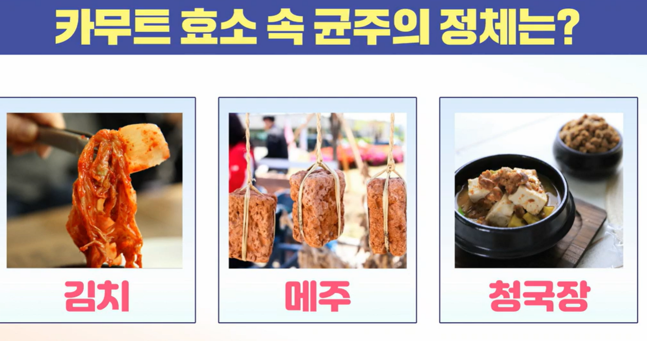 카무트 효소