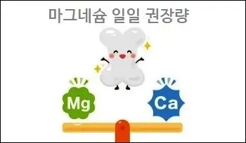 마그네슘 일일 권장량