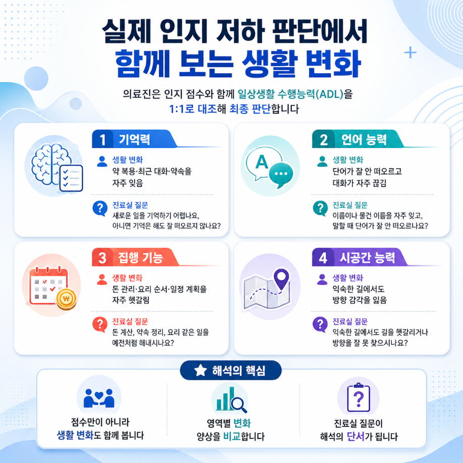 인지 저하 판단 시 SNSB 점수와 일상생활 수행능력 변화를 함께 보는 기준을 정리한 인포그래픽
