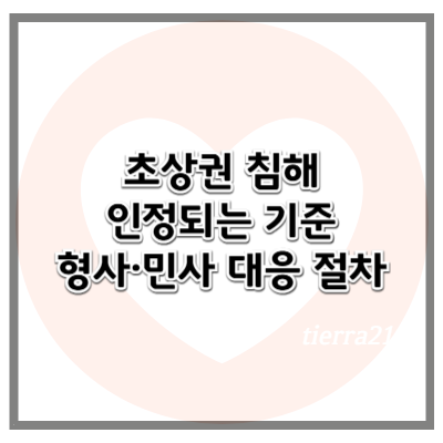 카페, 거리, 학교 등에서 초상권 침해가 인정되는 기준과 형사·민사 대응 절차