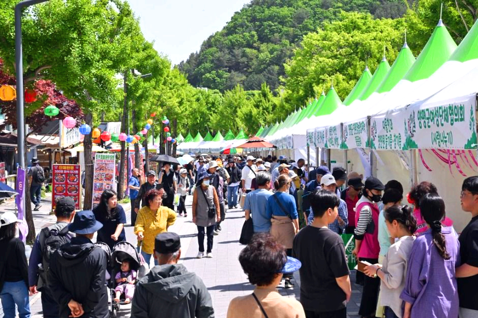 용문산 산나물축제