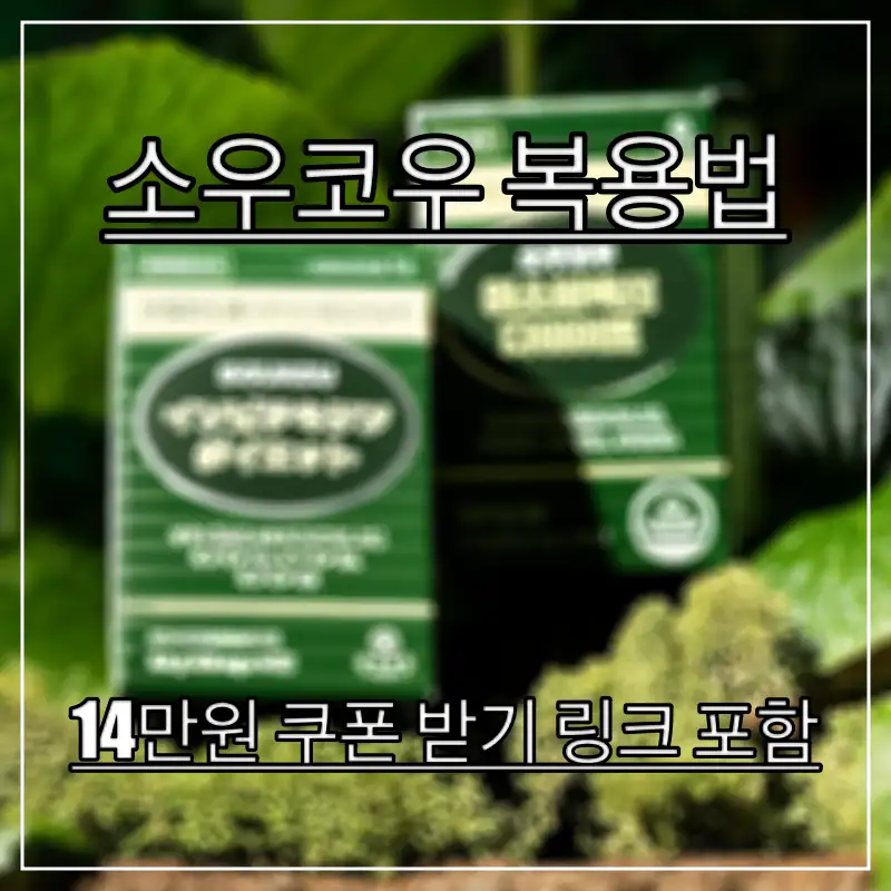 소우코우-복용법-다이어트-방법을-알아보는-여성의-모습