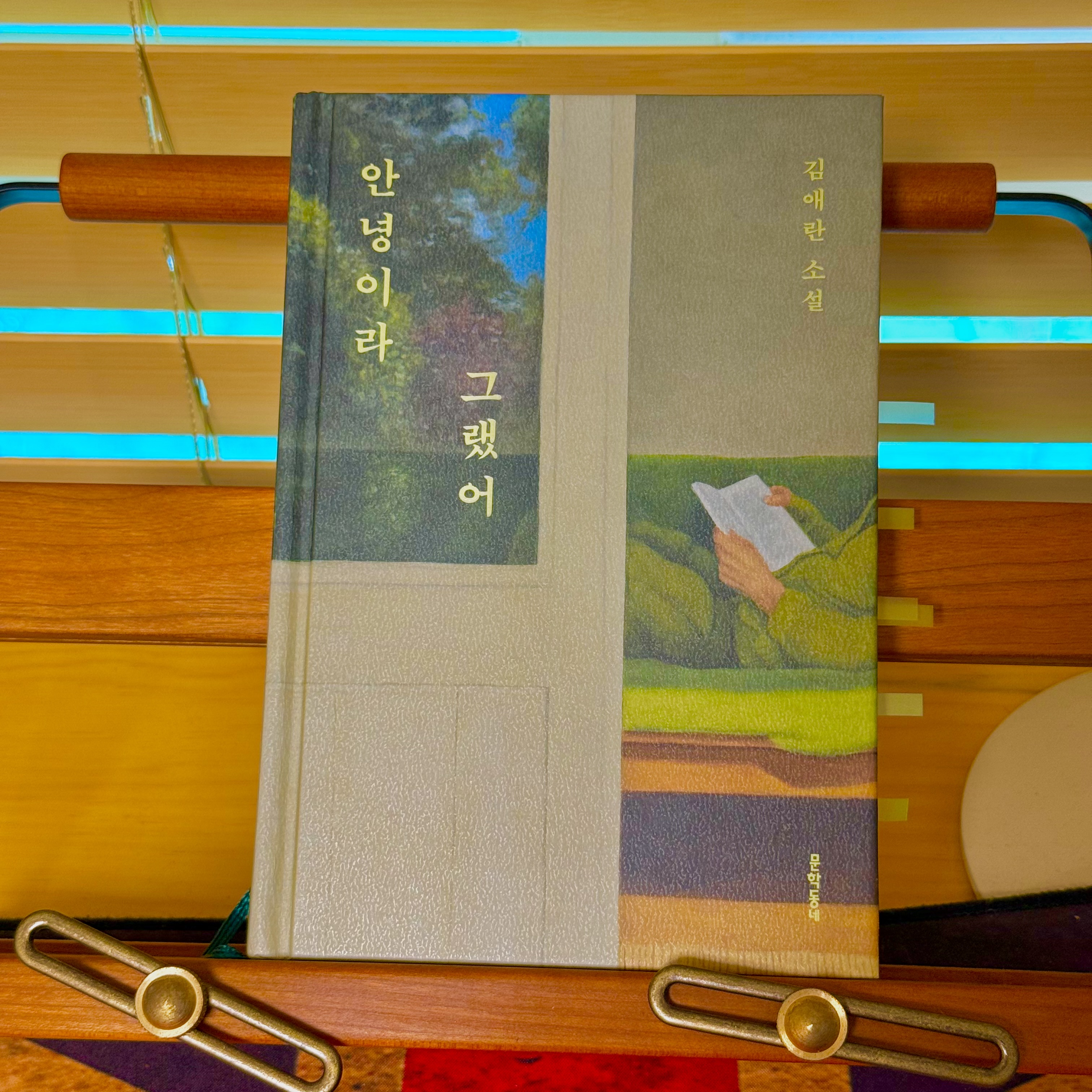 안녕이라 그랬어 표지