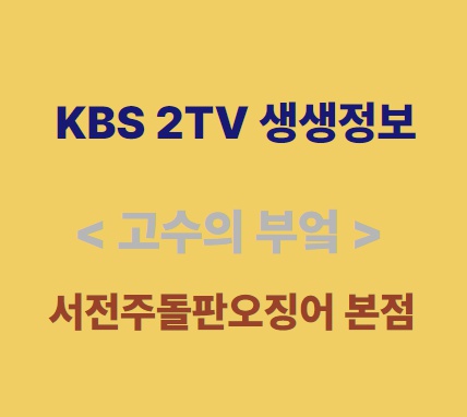KBS 2TV생생정보