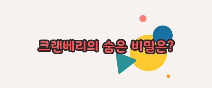 크린베리 효과 이제 베일을 벗겨볼까요