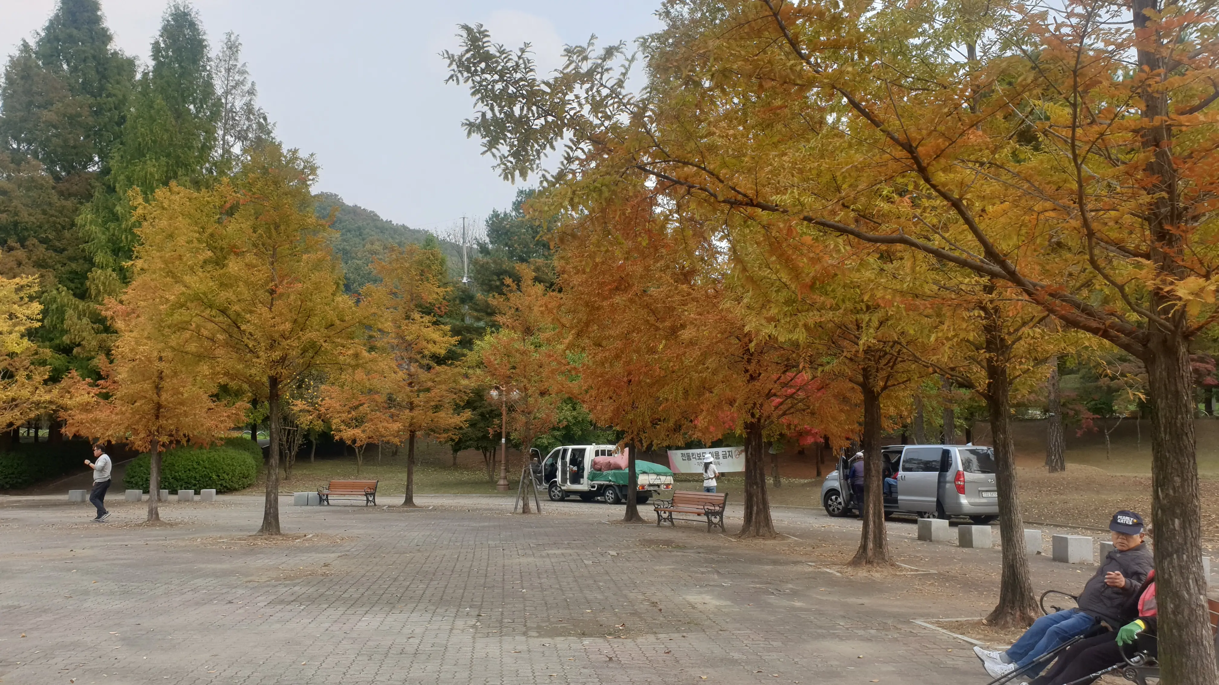 분당율동공원