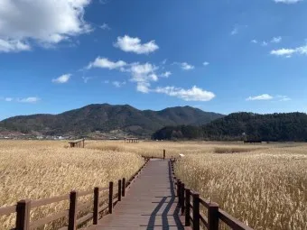 순천 가볼만한곳 베스트10 순천만 갈대밭 숨겨진 명소_10