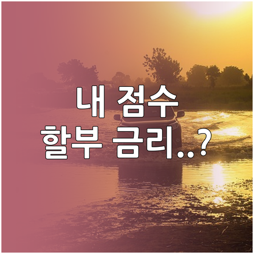 신용점수별 자동차 할부 금리표와 금융..