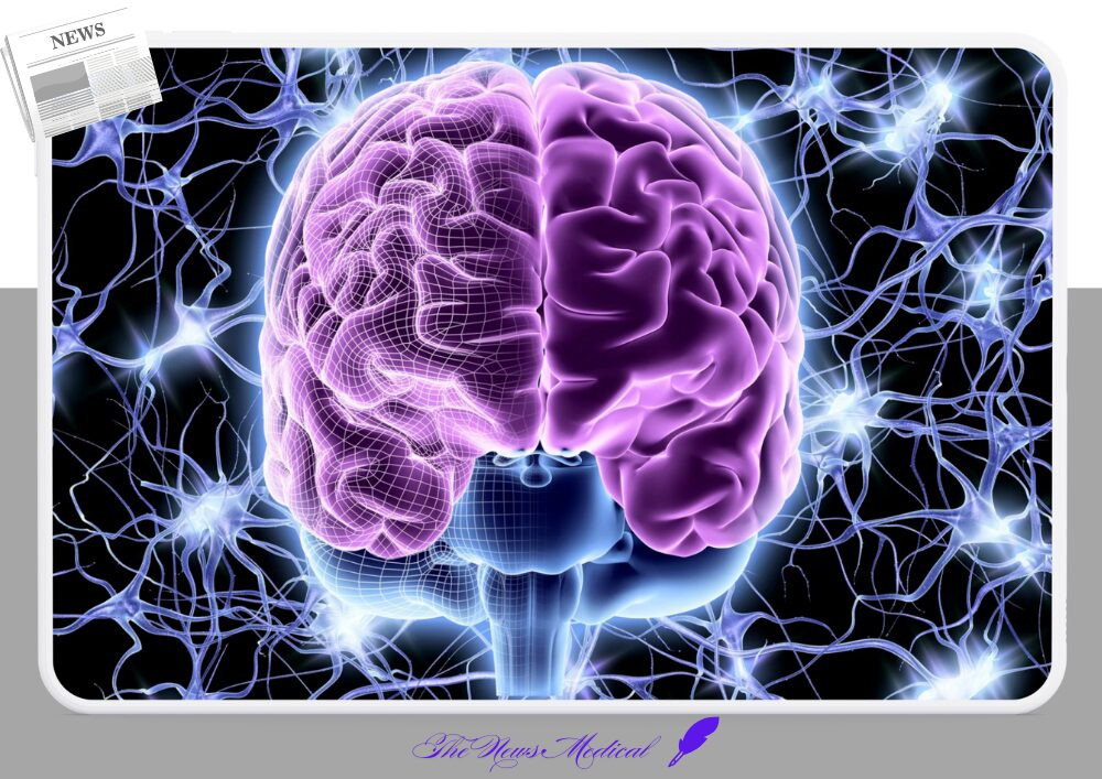 노화와 뇌의 상호작용