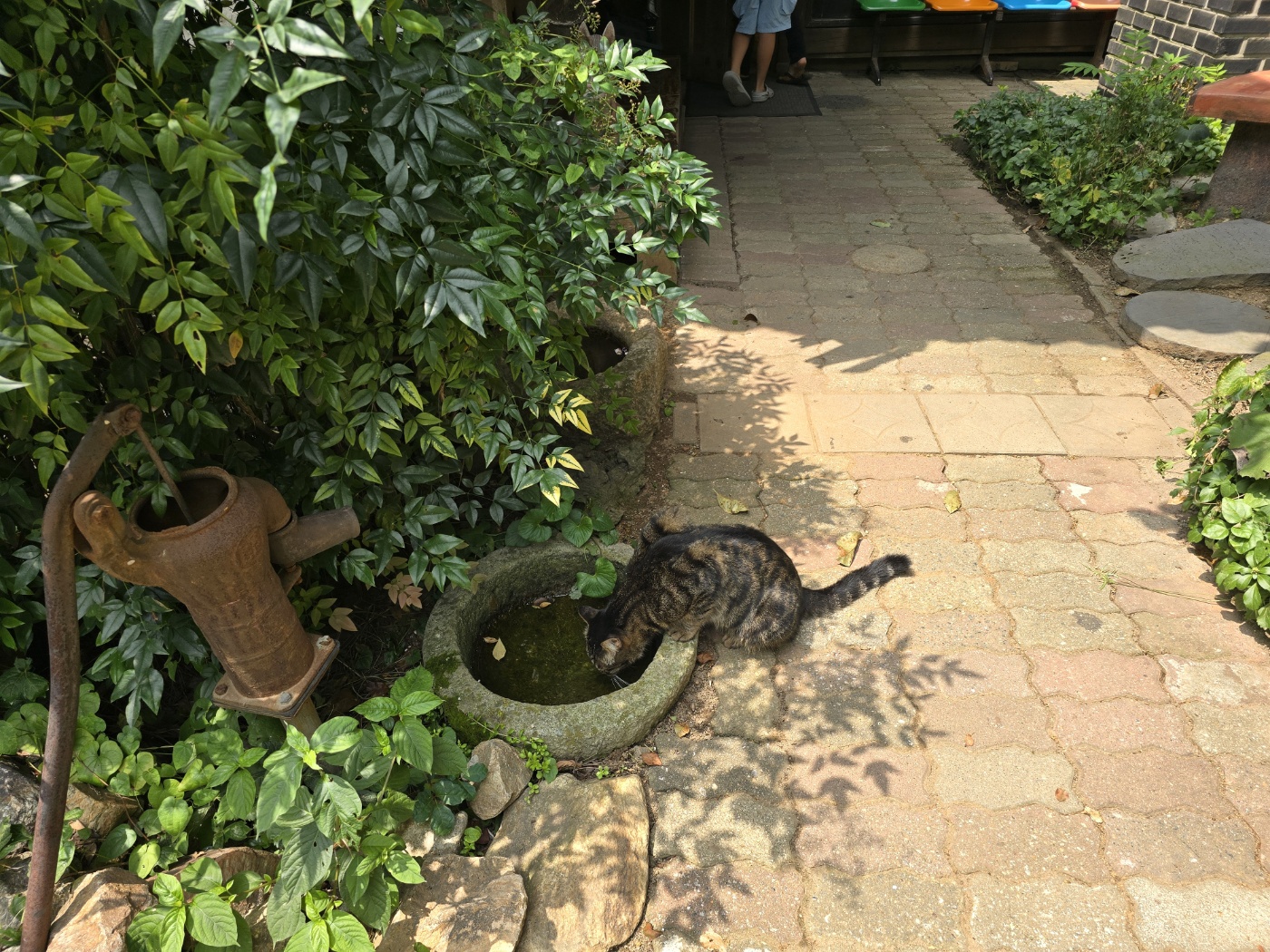 손커피연구소의 정원