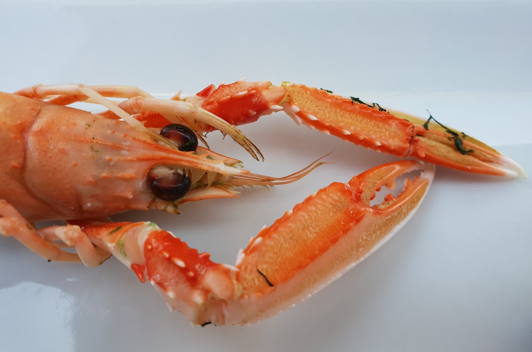 Shrimp