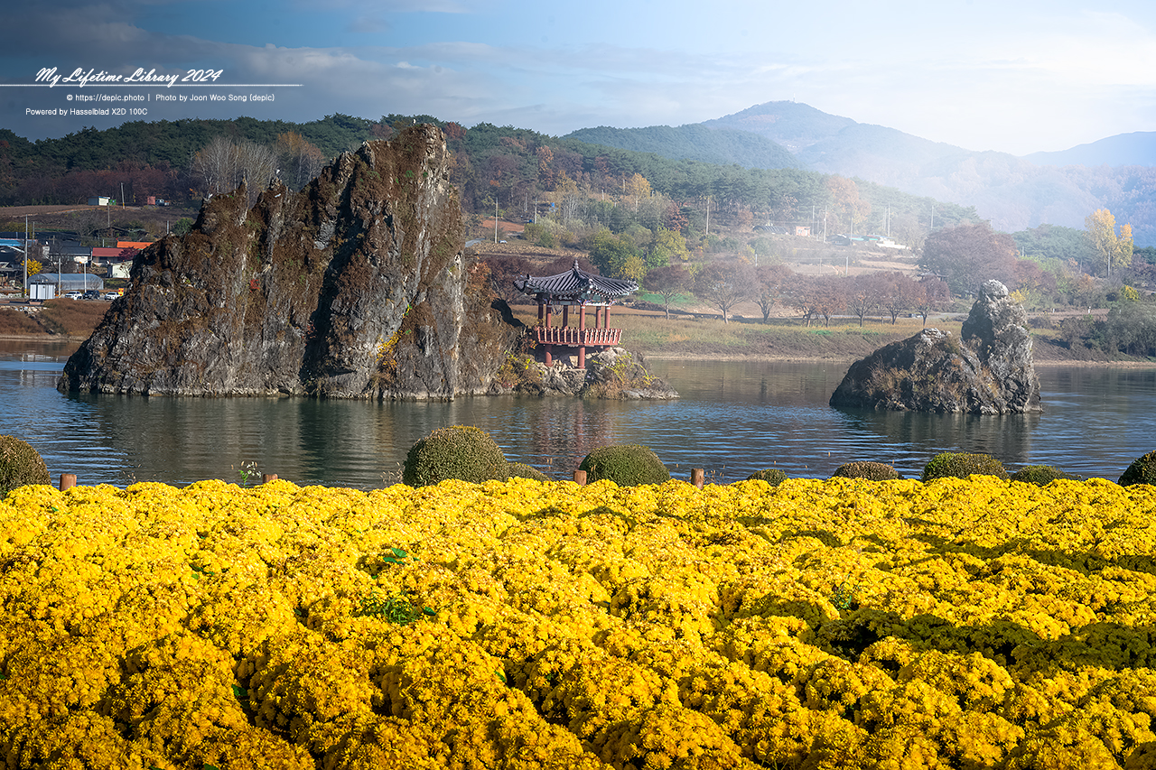 단양 도담삼봉 가을 강