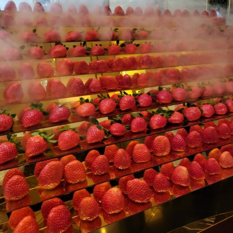 2022 딸기 뷔페 호텔 일정 확인 예약하기