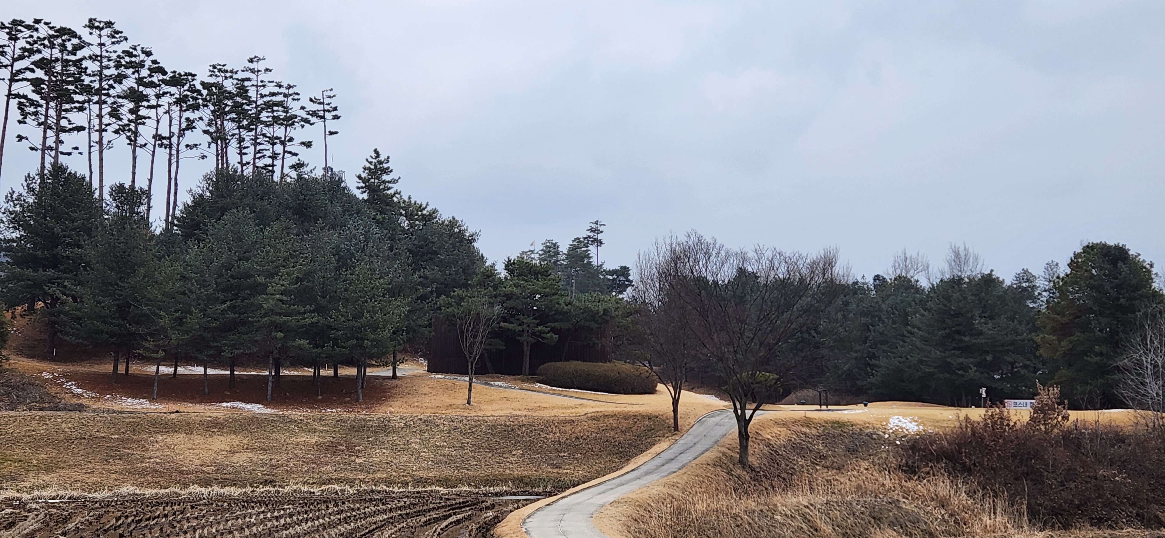 솔모로cc