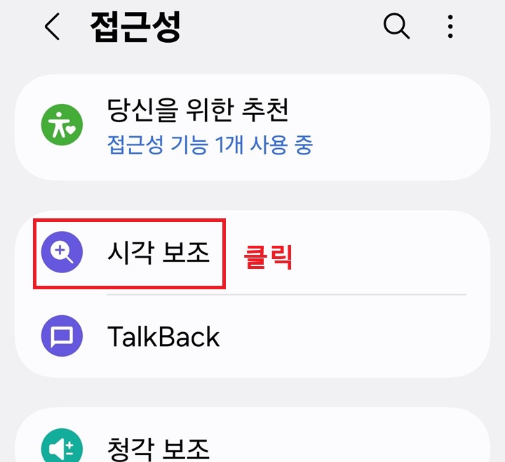 접근성 페이지에 시각 보조 메뉴 보임