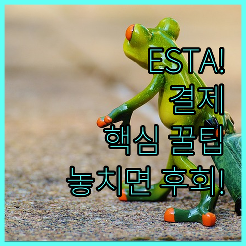 ESTA 신청 결제 시 꼭 알아야 할..