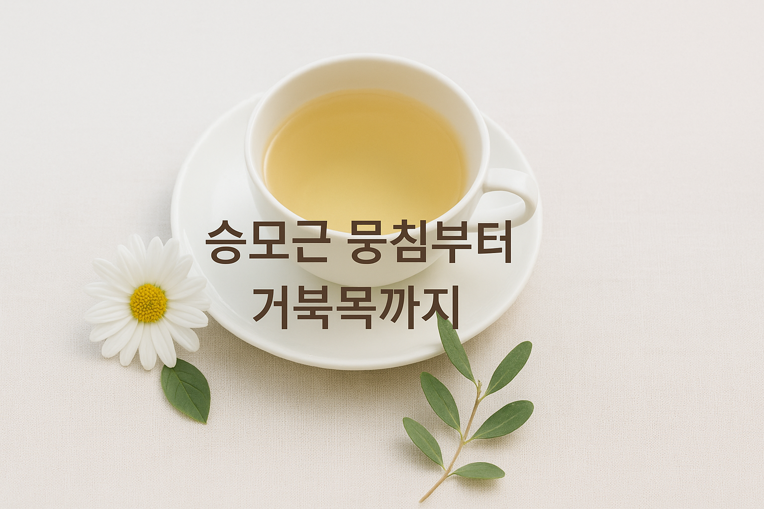 승모근 관련 이미지