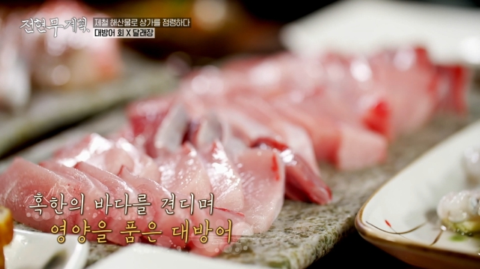 전현무계획-자연산-대방어회