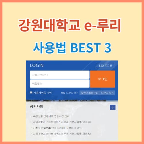 강원대 이루리 사용법 정리 BEST 3 섬네일 이미지
