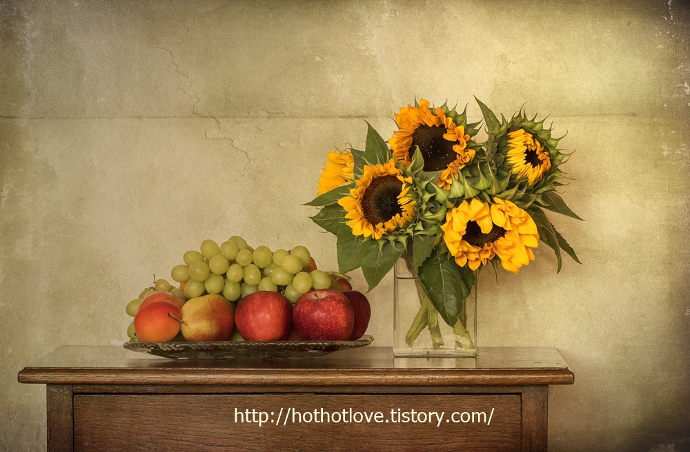 제 3세계 중립 국가