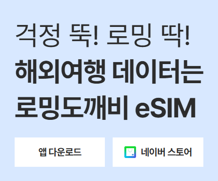 도깨비 로밍 eSIM(이심) 및 도깨비 로밍 등록방법 사용방법 안내★