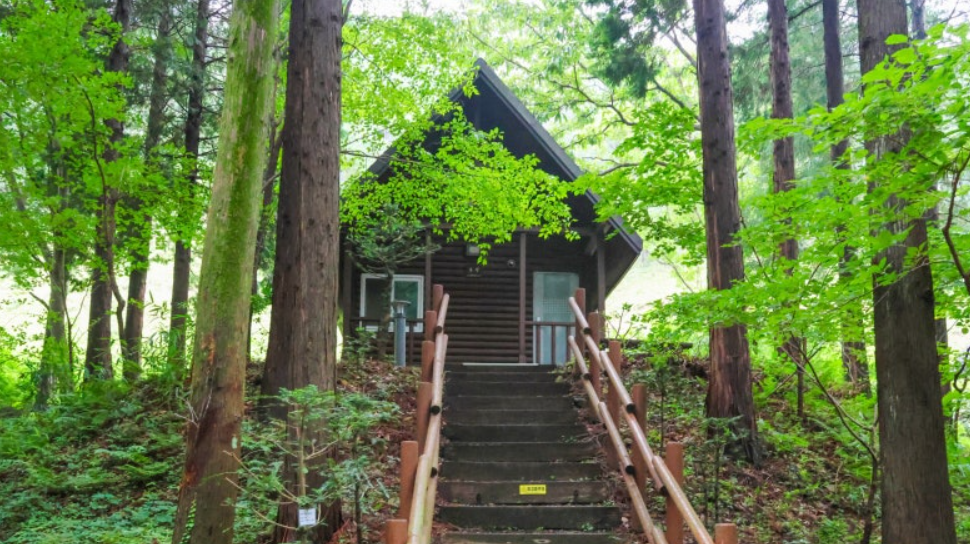 남해 편백자연휴양림