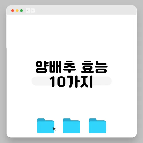양배추 효능 10가지, 부작용