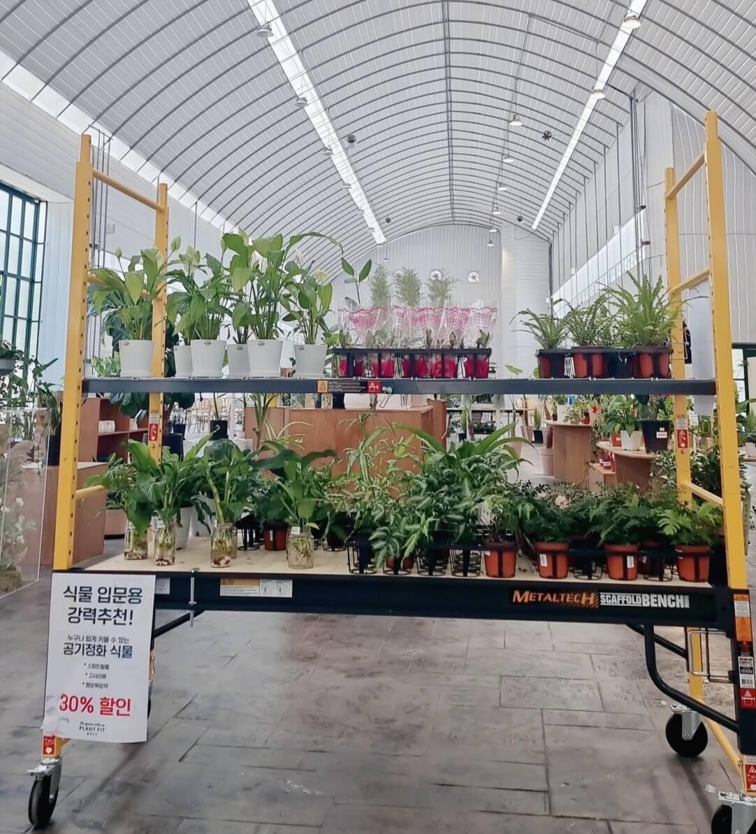 어반리프 판매용 식물들