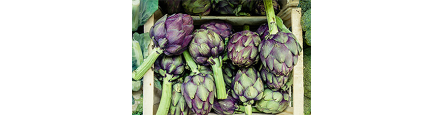 아티초크 사진
