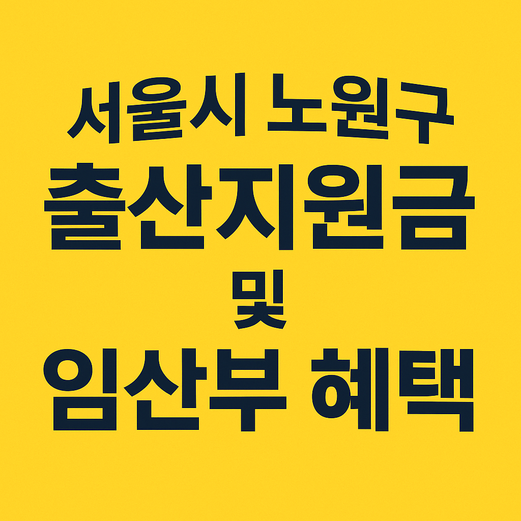서울시 노원구 출산지원금 및 임산부 혜택