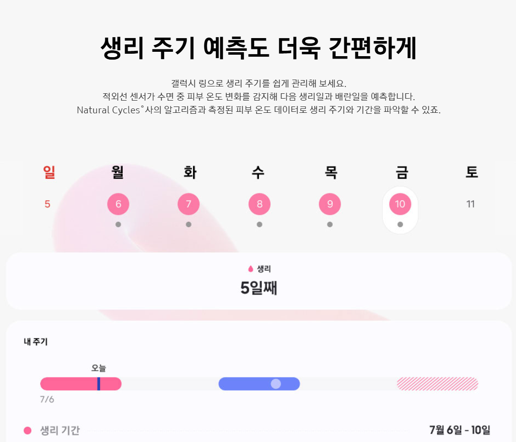 생리 주기