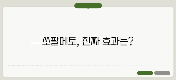 쏘팔메토 효능 전립선 건강에 정말 좋을까