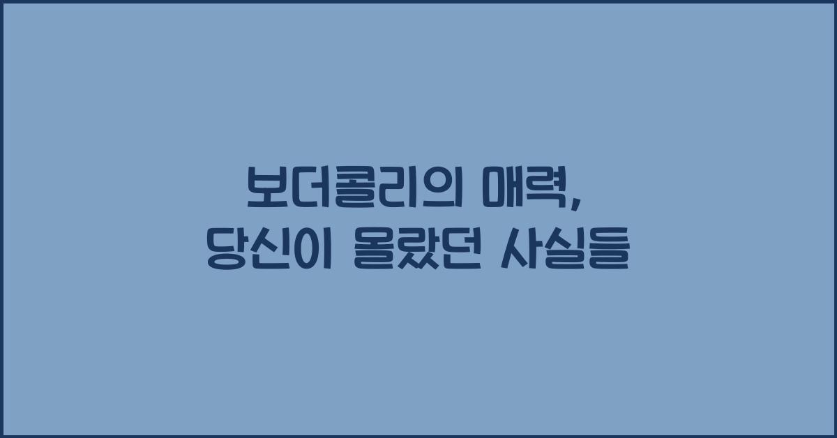 보더콜리