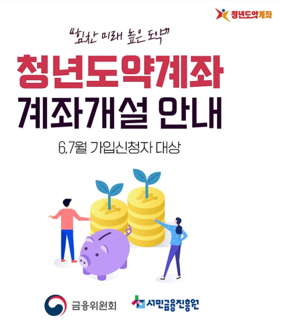 목돈 마련의 지름길, 청년미래적금 vs 도약계좌 전격 비교