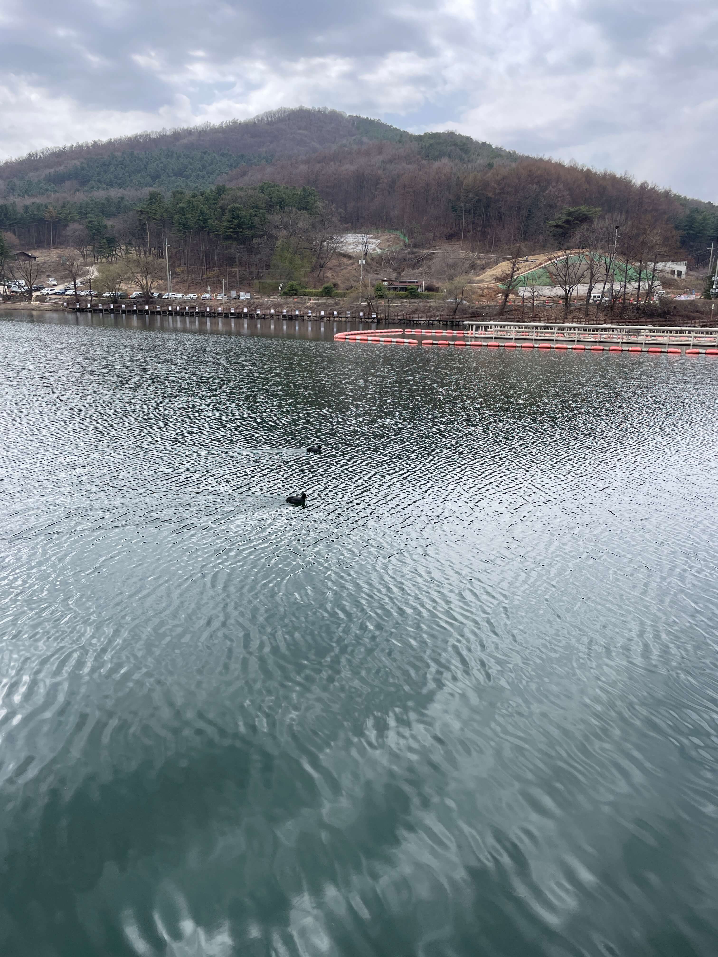 고모리 카페